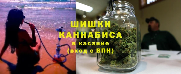 сатива Бородино