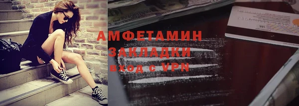 сатива Бородино