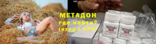 сатива Бородино