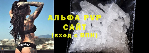 сатива Бородино