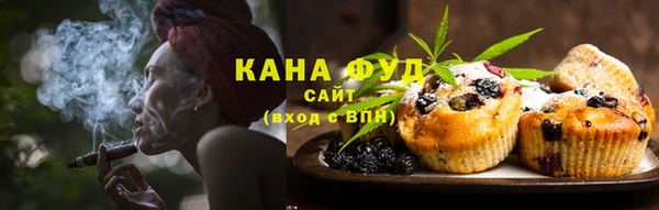 сатива Бородино
