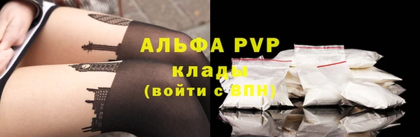 сатива Бородино