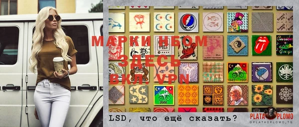 индика Бугульма
