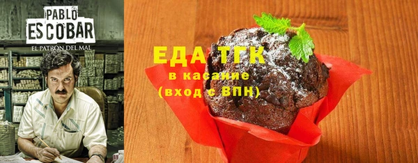 индика Бугульма