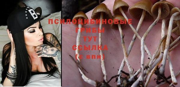 индика Бугульма
