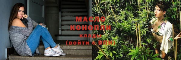 сатива Бородино