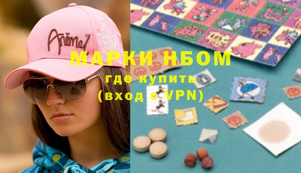 индика Бугульма