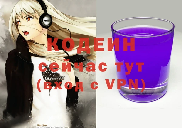 сатива Бородино