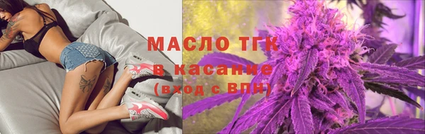 сатива Бородино